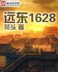 远东1628TXT校正