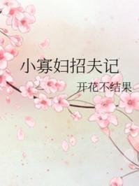 小寡妇招夫记 开花不结果