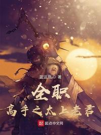 全职法师之法帝叶枫