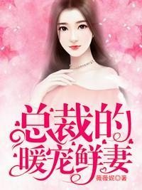 总裁的暖婚小甜妻免费版