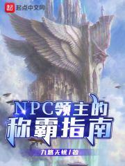 NPC领主的称霸指南txt