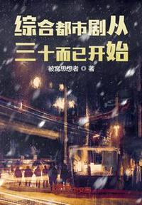 综合都市剧从三十而已开始 被窝思想者 著