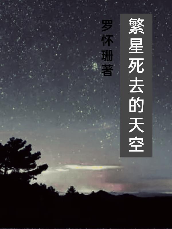 繁星的夜空