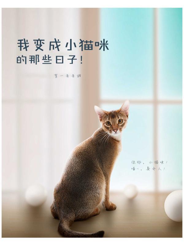 我变成了小猫咪作文