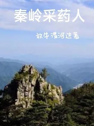 秦岭山区林下药材种植