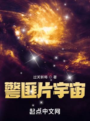 警匪片宇宙断更