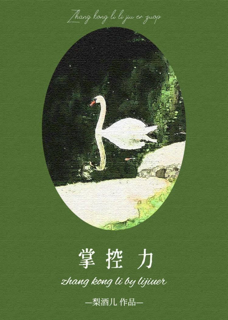 掌控力 书