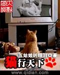 猫行天下五姑娘的眼泪