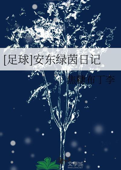 足球安东绿茵日记 焦糖布丁李