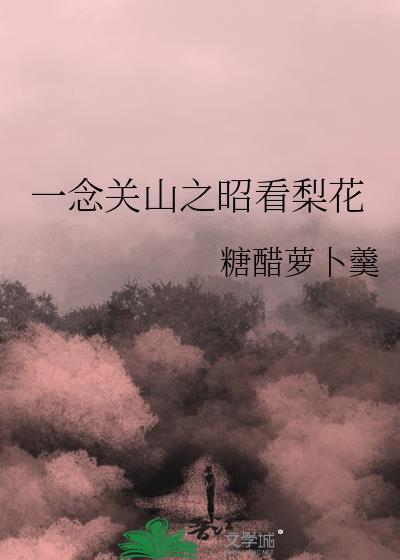 一念关山叫什么名字