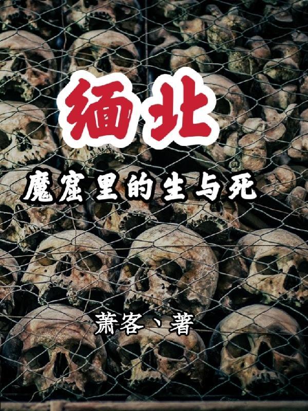 缅北魔窟里的生与死结局