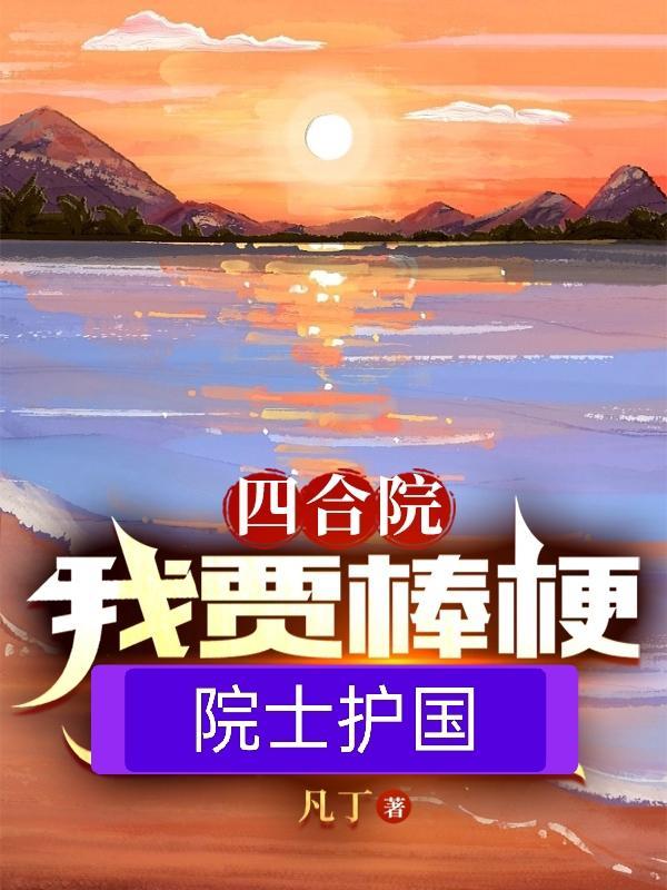 四合院我棒梗偷鸡