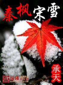 秦枫和叶雪儿的