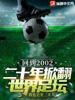 回顾2002