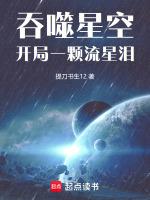 吞噬星空开局一颗流星泪正文目录