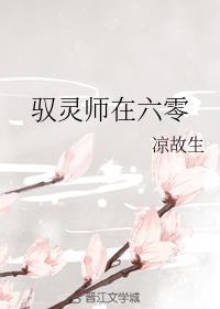 驭灵师在线阅读