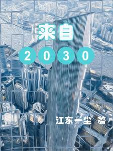 来自2030年