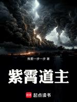 紫霄道主笔趣阁无删版