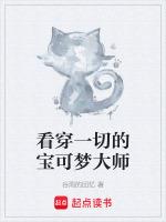 宝可梦大师视频