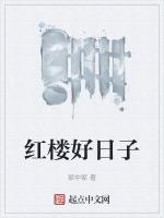 红楼好日子-冢中冢