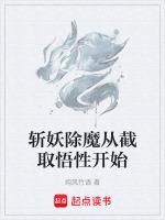 我的境界无上限