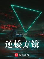 镜面魔方翻棱公式