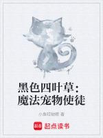 黑色四叶草魔法石集齐了吗?