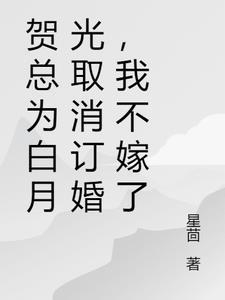 我不嫁了[旺柴