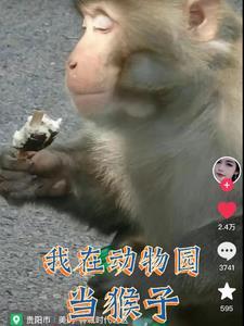 我在动物园里