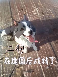 二狗之后再无都市