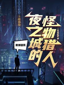 赛博朋克2077夜之城六大区域