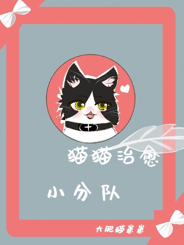 猫咪治愈系