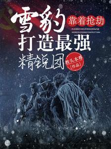 雪豹突击队是什么兵种