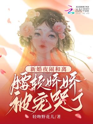 新婚夜闹婚