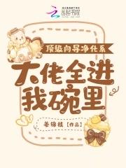 顶级向导净化系