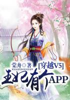 穿越v5王妃有个app奇满屋