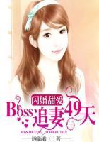 闪婚甜爱boss追妻49天