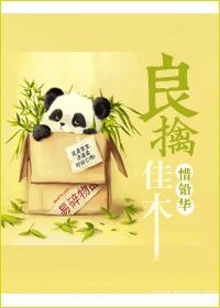 良禽佳木 价格