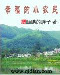 幸福小农民叶飞阅读