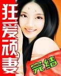 宠妻狂爱