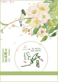 二婚不昏原版