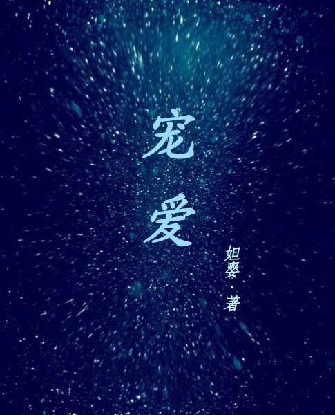 宠爱 歌曲