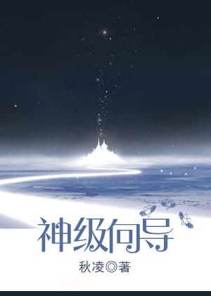 神级向导未删减版