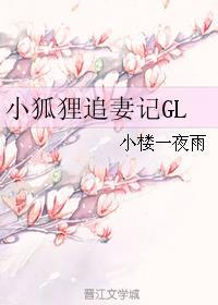 小狐狸追妻日常百度