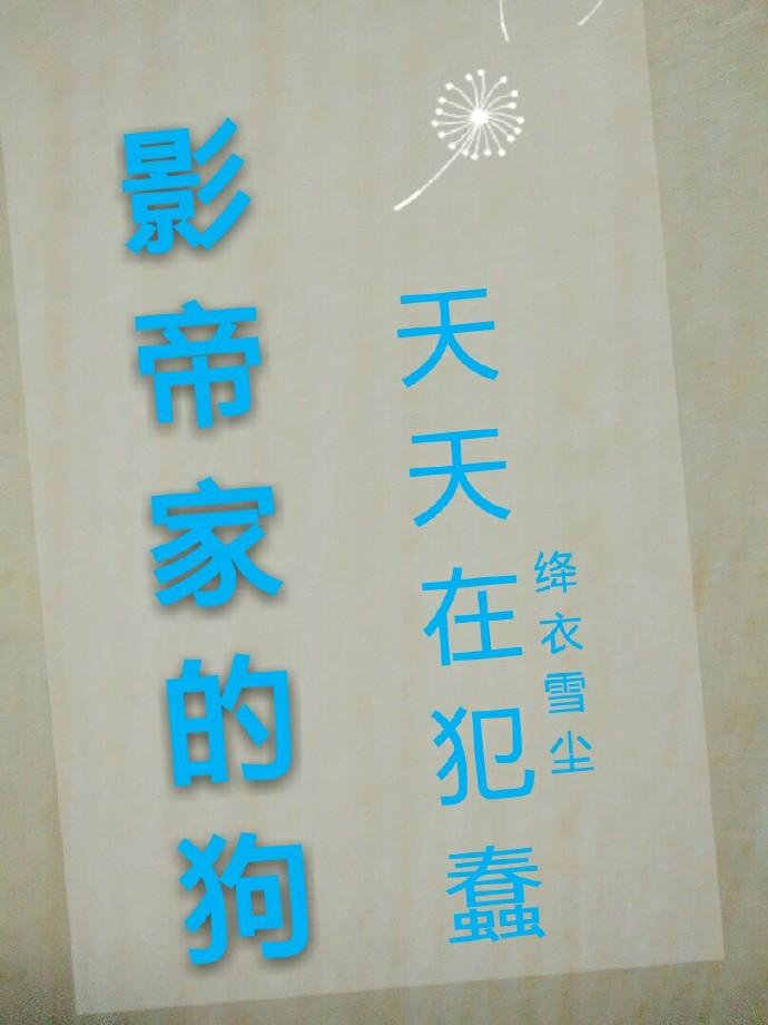 影帝的狗粮日常