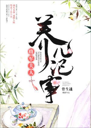 将军夫人养儿记事正版