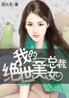 我的绝世美女总裁老婆沈浪