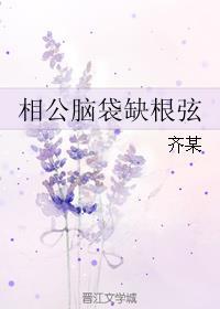 相公脑袋缺根弦评论