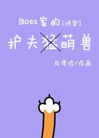 、boss的护夫萌兽[快穿