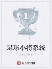 足球小将系统